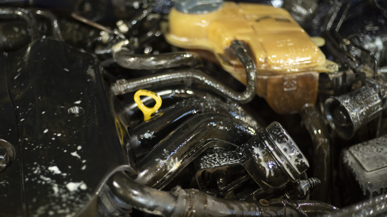 A wet and soapy car engine bay