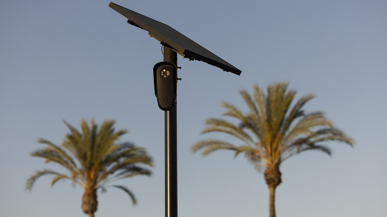 A Flock camera between two palm trees