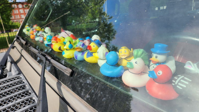 Plastic ducks on the dashboard of a Jeep Wrangler.