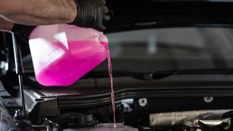 A mechanic pouring pink coolant into car's coolant reservoir