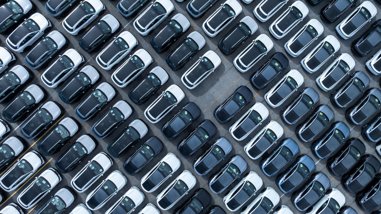 cars at a dealership