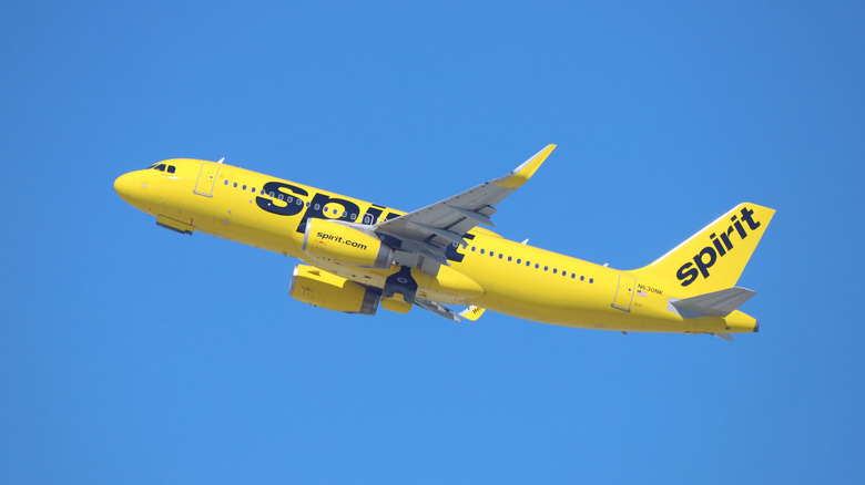 A Spirit Airlines Airbus A320 takes off