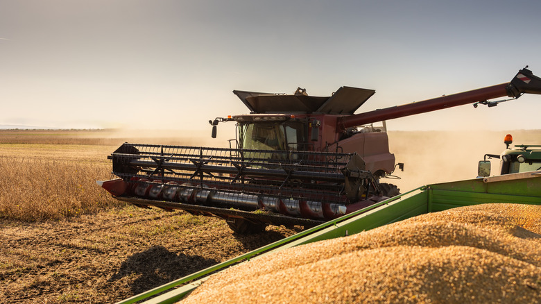 A large harvester harvesting soybeans in a vast field