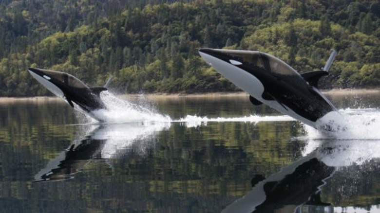 Two Seabreacher killer whale or orca models emerge from the water riding it from their tails.