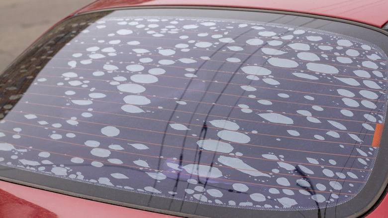 The back glass of a sedan with purpling and bubbling tint film.