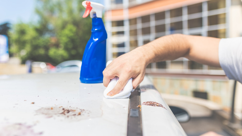 A person gently cleaning bird poop off the roof of a white car.