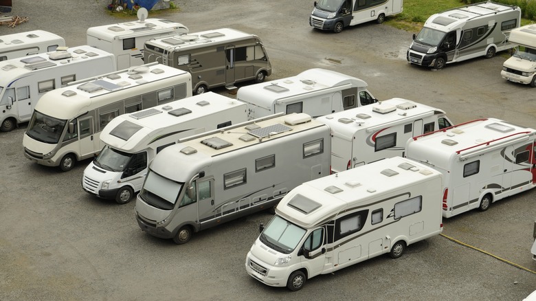A group of RVs parked together in a parking lot