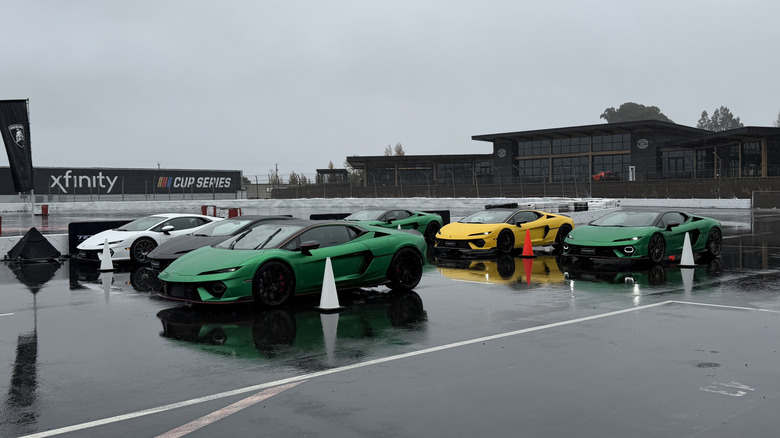 A group of Lamborghini Temerarios in the rain