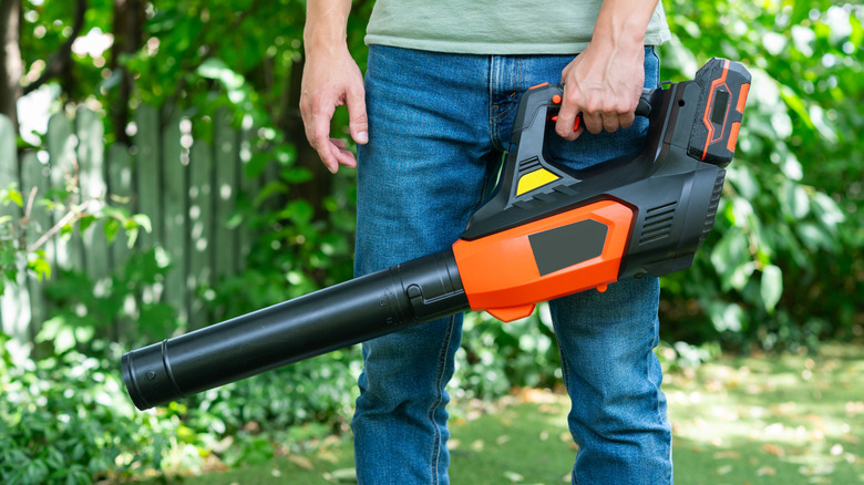 Man holding a cordless electric leaf blower while standing in a garden