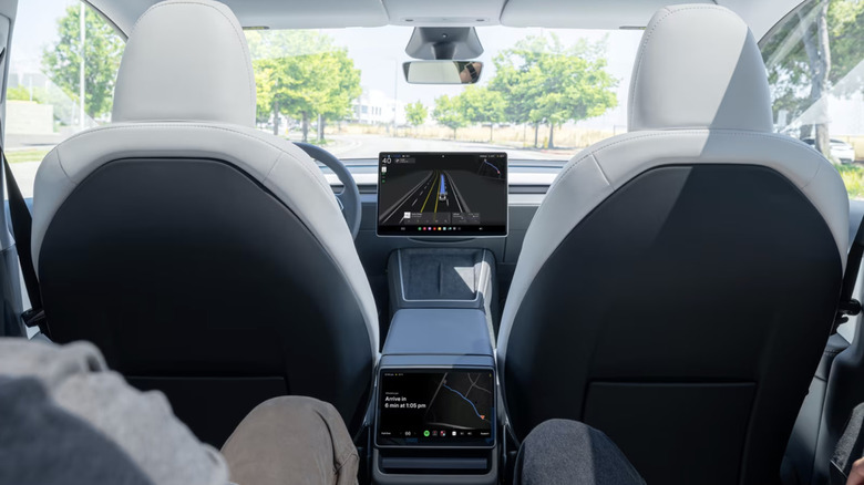 Tesla robotaxi rear seat occupants