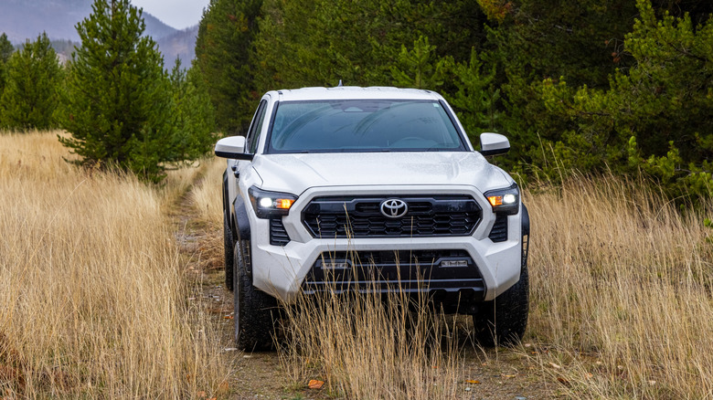 A white Toyota Tacoma off-road pickup truck on a grassy trail surrounded by tall trees.