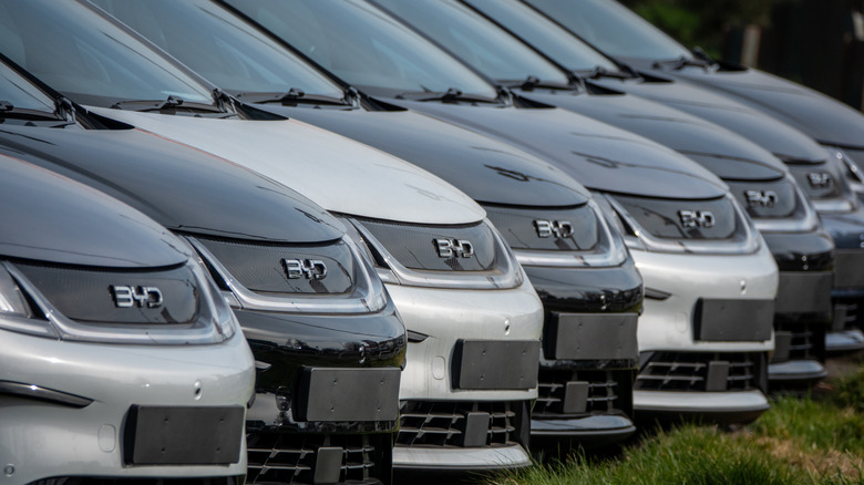 Brand new unregistered BYD electric cars are displayed for sale outside a BYD dealership, on March 6, 2025 in Bristol, England.