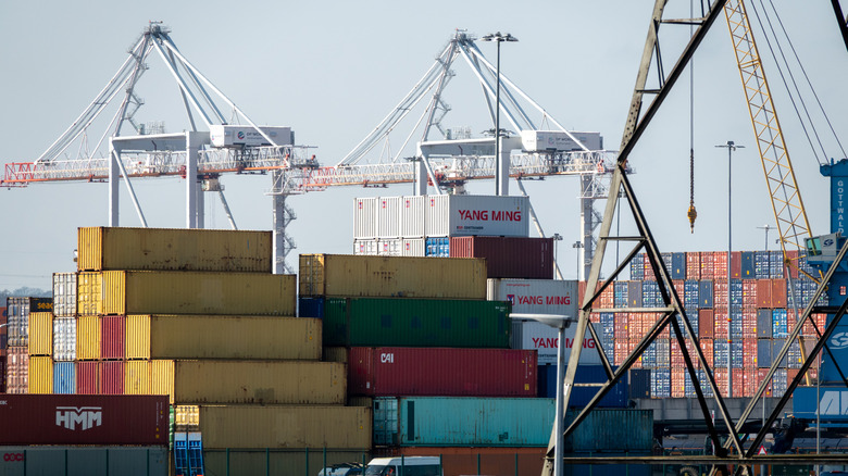 SOUTHAMPTON, UNITED KINGDOM - FEBRUARY 25: Recently imported Ford vans are parked in front of shipping containers being loaded on and off waiting container ships at the Port of Southampton docks on February 25, 2026 in Southampton, England. After the Supreme Court blocked many of his sweeping import taxes last week, US President Donald Trump has introduced a new global tariff at 10% despite a promise to introduce them at a higher rate. (Photo by Anna Barclay/Getty Images)
