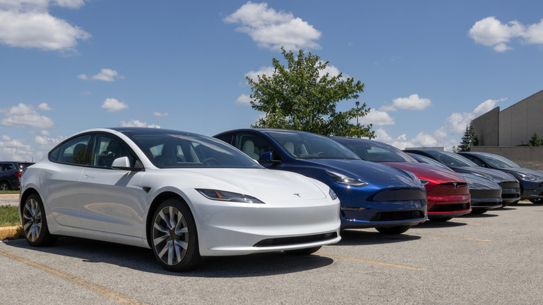 Indianapolis - May 30, 2024: Tesla EV electric vehicles display. Tesla models include the Model 3, Model Y, Model X and Model S.