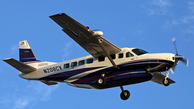 A white and blue single-engine Cessna flying through the air.