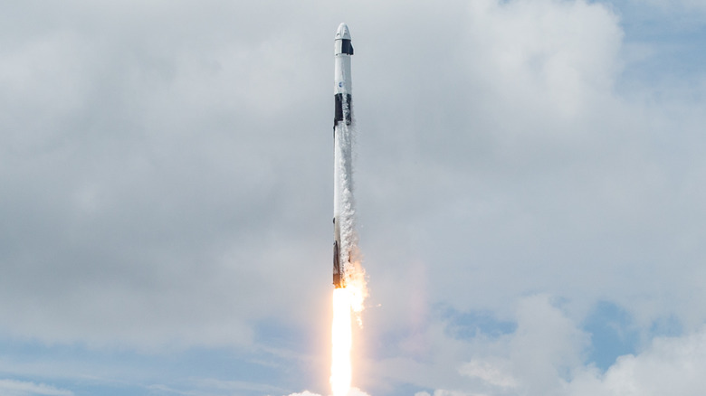 A SpaceX Falcon 9 rocket lifts off from NASA's Kennedy Space Center in 2024