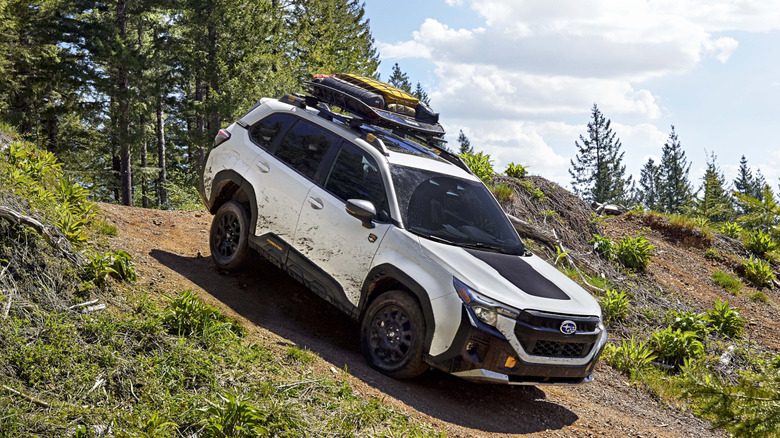 A white and black Subaru Forester with gear on its roof, tackling a steep downhill off-road trail.