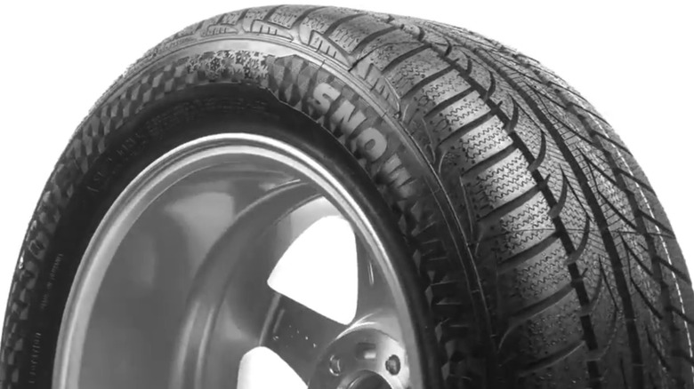 Sportiva Snow Win 2 on white background.