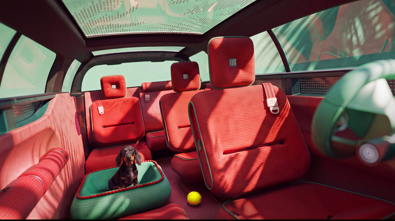 A look back at the pink interior of the Multiplay in passenger configuration with a little Dachshund sitting in the green petsenger seat