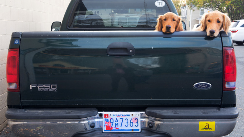 The reaer of a black Ford F-250 with Maryland War Of 1812 license plates