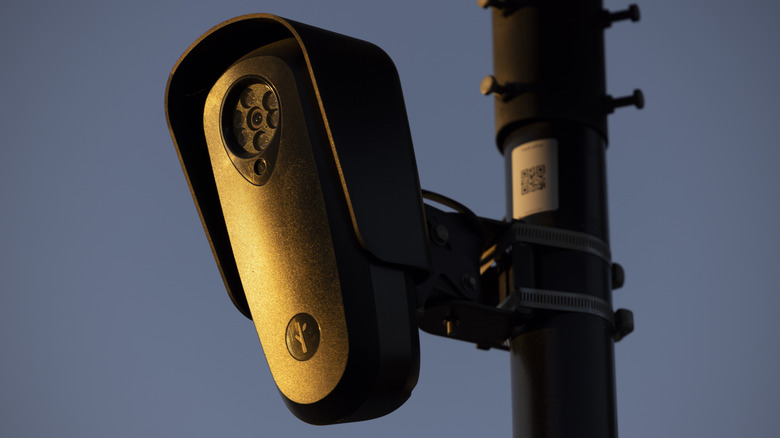 Close-up of a Flock camera mounted to a utility pole at sunset