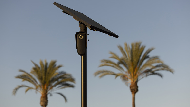 A flock camera and solar panel on a pole between two palm trees in the background