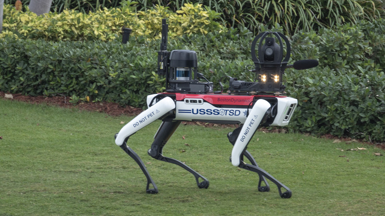 PALM BEACH, FLORIDA - NOVEMBER 18: A U.S. Secret Service robot dog manufactured by Boston Dynamics patrols the grounds at President-elect Donald Trump's Mar-a-Lago resort on November 18, 2024 in Palm Beach, Florida. The incoming Trump administration continues to announce nominees to fill senior positions in his cabinet and government.