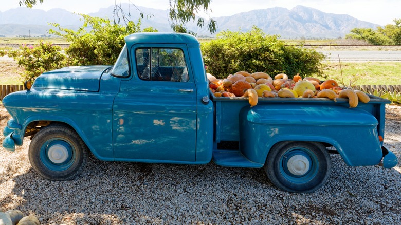 A pickup load of pumpkins.