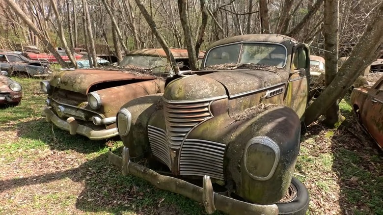 an image of old rusty cars with trees growing through them at Old Car City in Georgia
