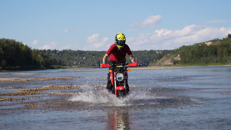 Grom in the water