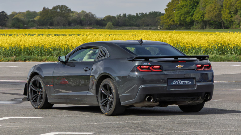 Rear 3/4 view of a black Chevy Camaro ZL1 in a parking lot with a field of yellow flowers and trees in the background