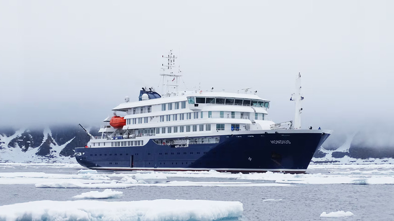 MV Hondius in ice-filled waters
