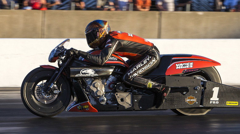 A race-prepped Harley V-Rod dragster in NHRA competition