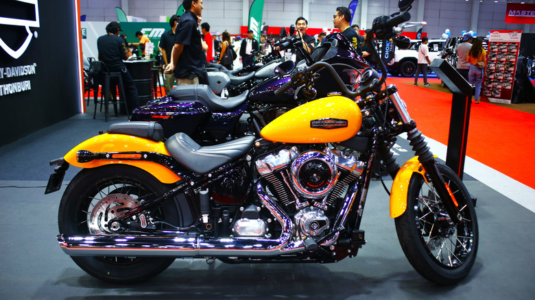 A Harley-Davidson Street Bob motorcycle