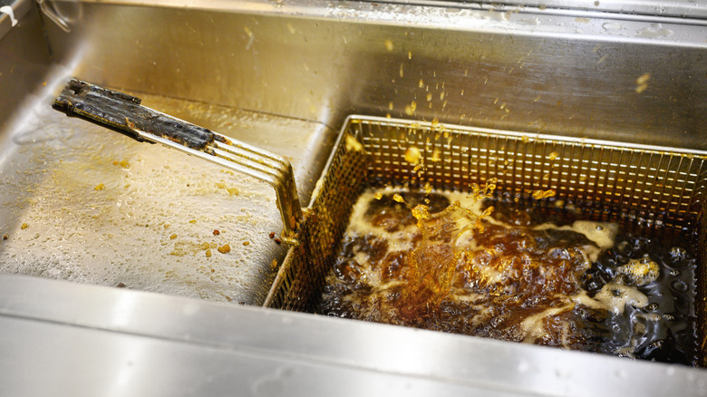 Vegetable oil fryer