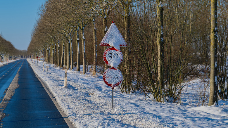 Traffic signs covered in snow on a wintry day