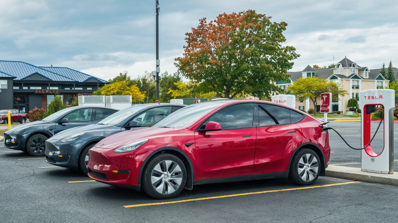 Several Tesla Model Ys at a Tesla charging station.