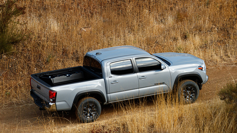 A silver 2021 Toyota Tacoma on a dirt trail.