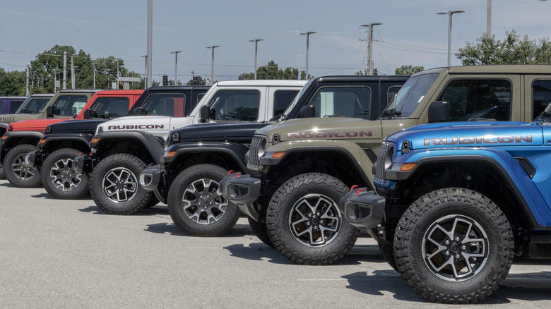 Multiple Jeep Gladiators parked side by side at a dealership.
