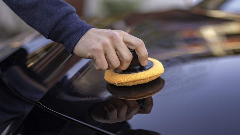 Man applying wax on the hood of a black car.