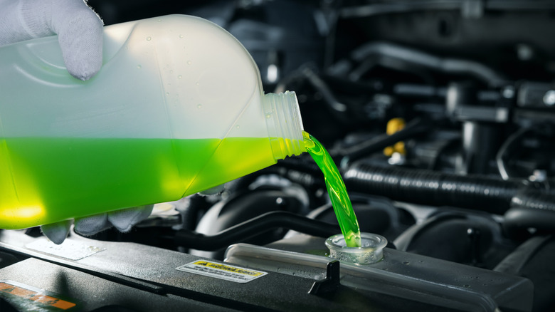 Pouring fresh green coolant to a car's radiator