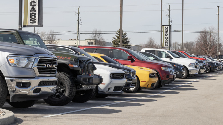 Cars parked on a dealer lot.