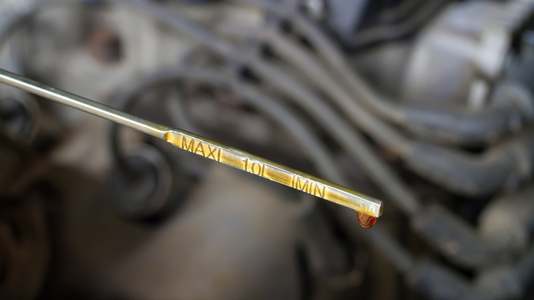 Engine oil dipstick showing slightly fresh, golden oil