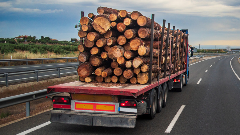 Semi truck hauling logs down the highway