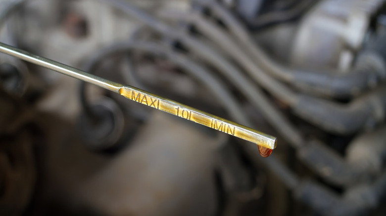 Dipstick showing the oil level inside the engine