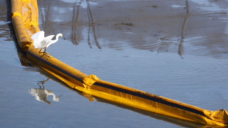 A bird standing on top of an oil boom in the ocean