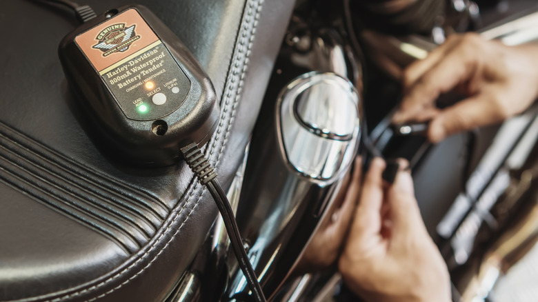 A Harley-Davidson rider attaches a battery charger to a quick-disconnect pigtail connection