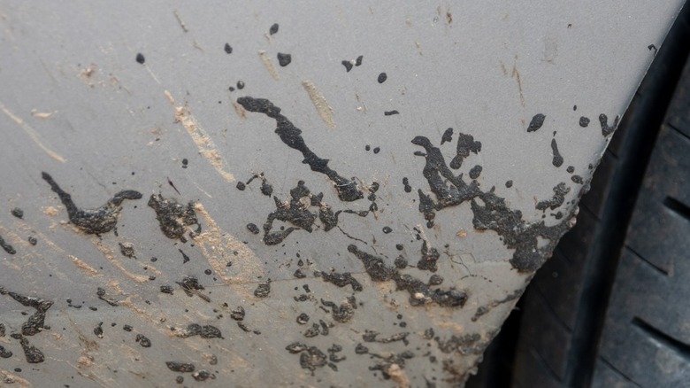 Tar stuck on side of car.