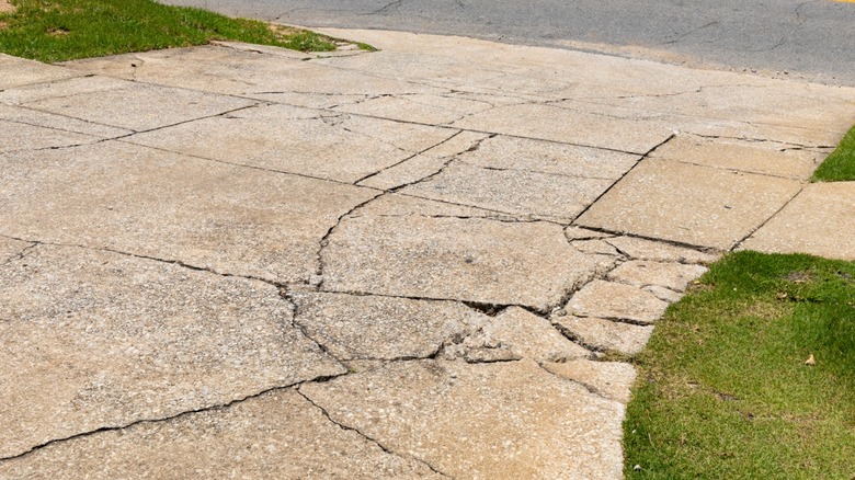 A cracked driveway in the daytime
