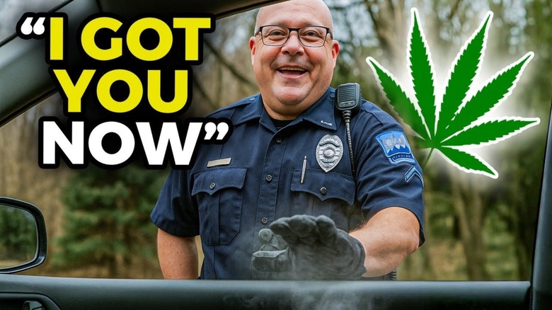 Lawyer advice if cop smells weed